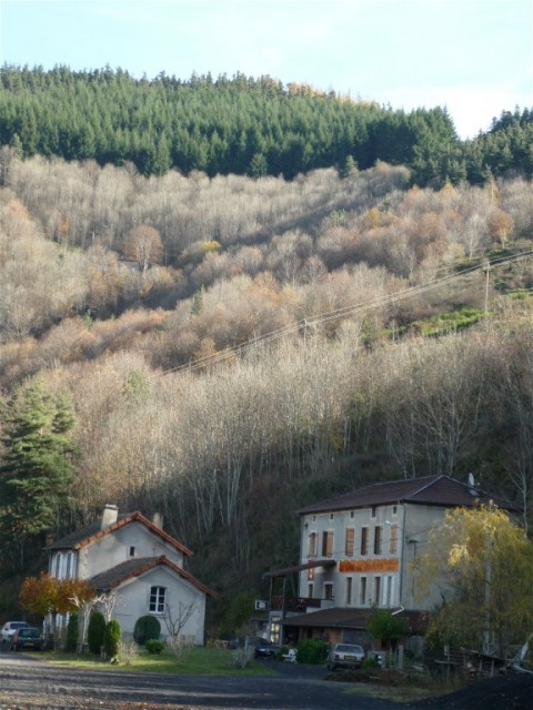 P1000587.JPG