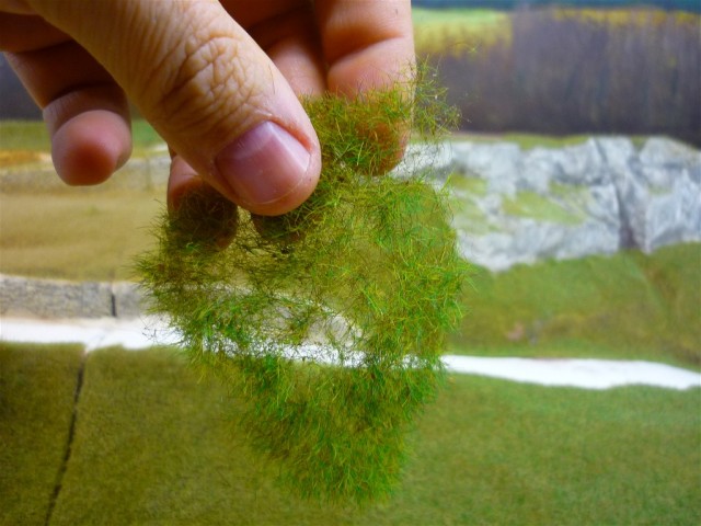 P1010110.JPG