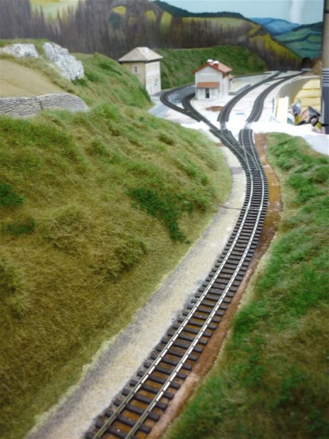 P1010141.JPG