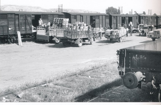 Cavaillon-1950-01.jpg