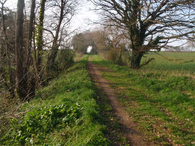 ligne-Plouguiel-Penvenan.jpg