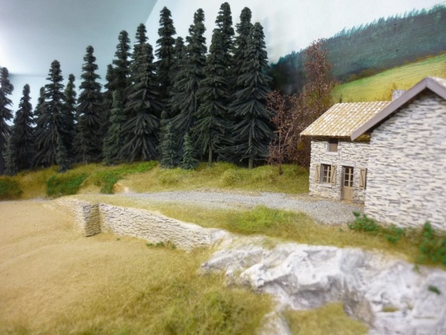 P1010169.JPG