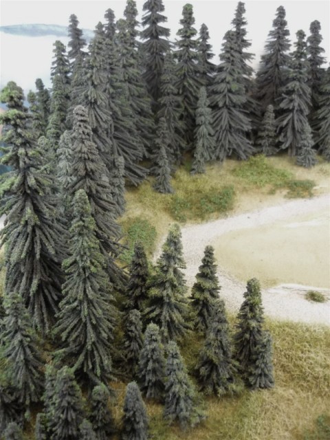 P1010177.JPG