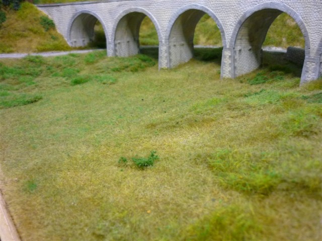 P1010188.JPG