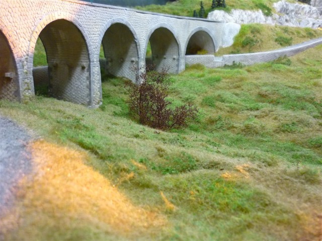 P1010202.JPG