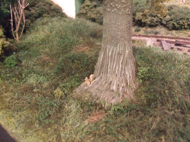 Dscf5683.jpg