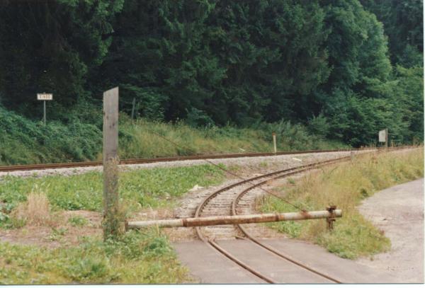 TAQ 1.jpg