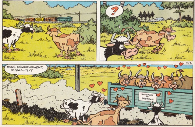 vaches et train-F.jpg