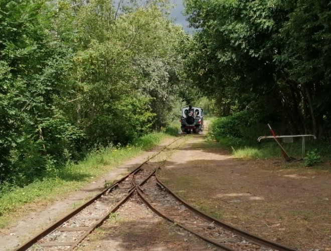 ligne.jpg