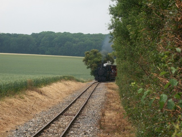 100B4270.JPG