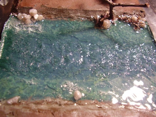 P7060009_2.jpg