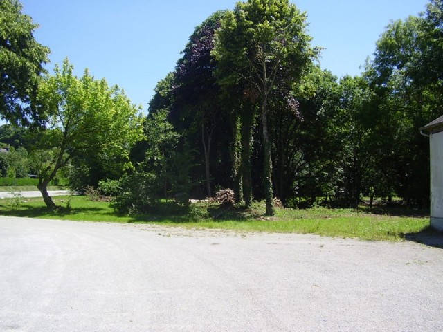 P6260289_2.jpg