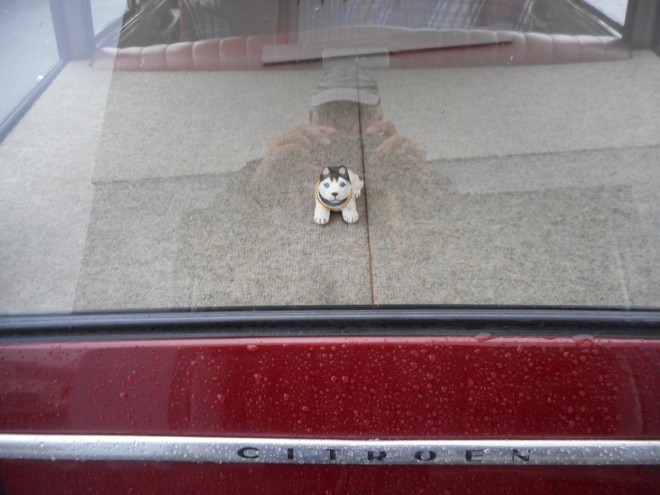 DSCN3524.JPG
