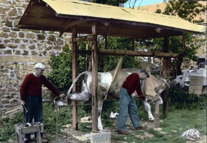 Forgeron - Travail.jpg