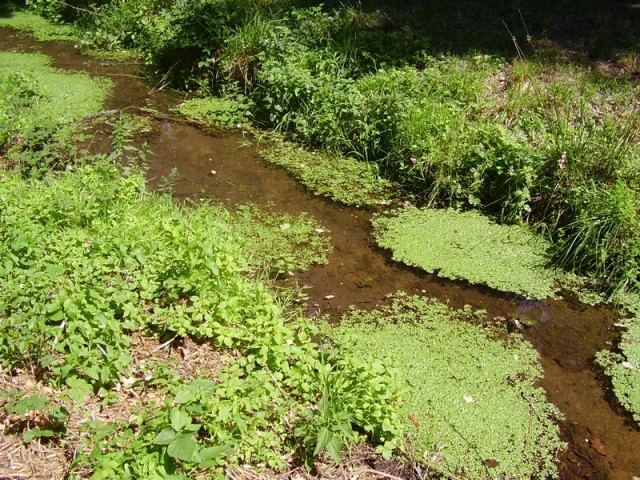 P7030346_2.jpg