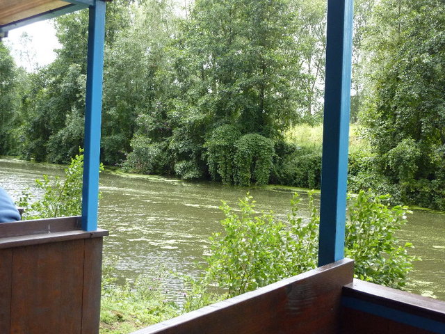 P1060537(1).JPG