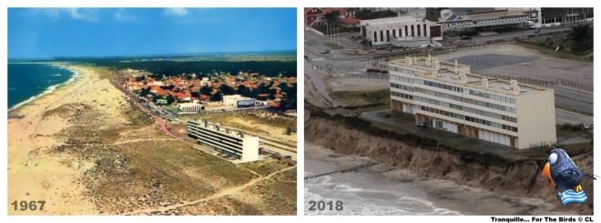 Le Signal - comparaison.jpg