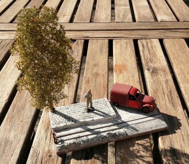 arbre.jpg