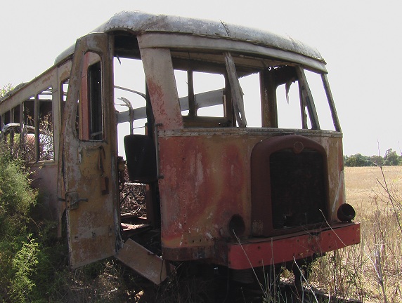 IMGA0237m.jpg