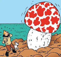 Tintin Champignon..jpg