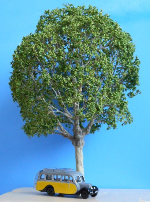 DSCN0126.JPG