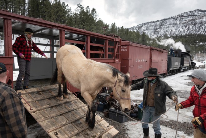 Durango Horses 2.jpg