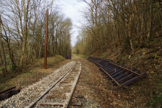 IMGP7775.JPG
