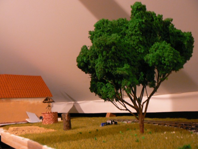 P1160754.JPG
