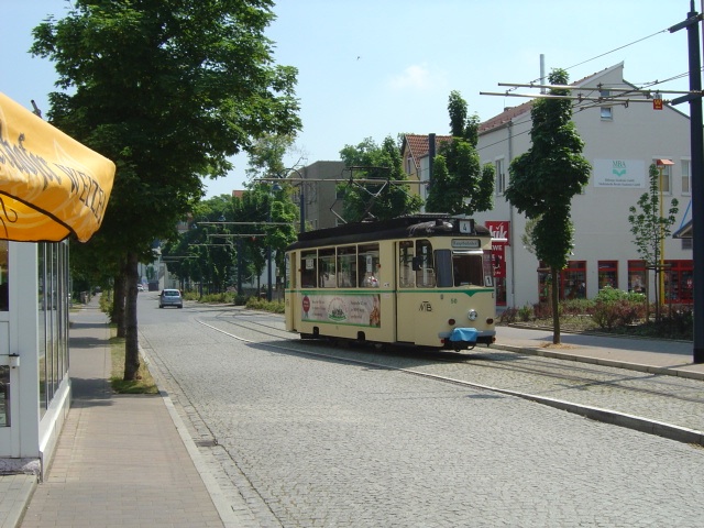 Naumburg4.jpg