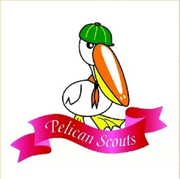 Pelican Scout 1..PNG