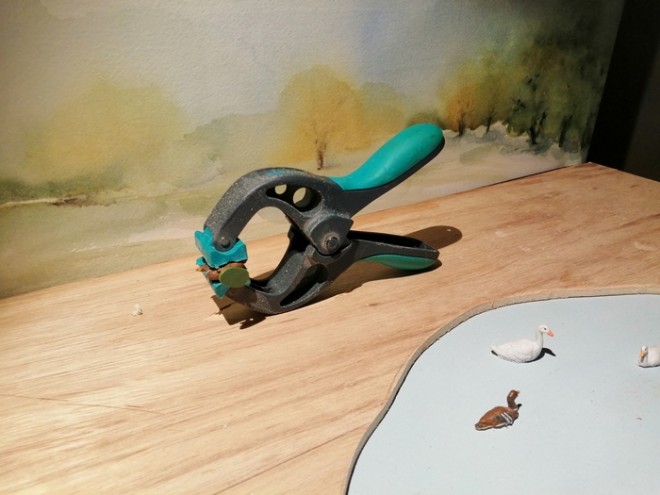 fond canard 3.jpg
