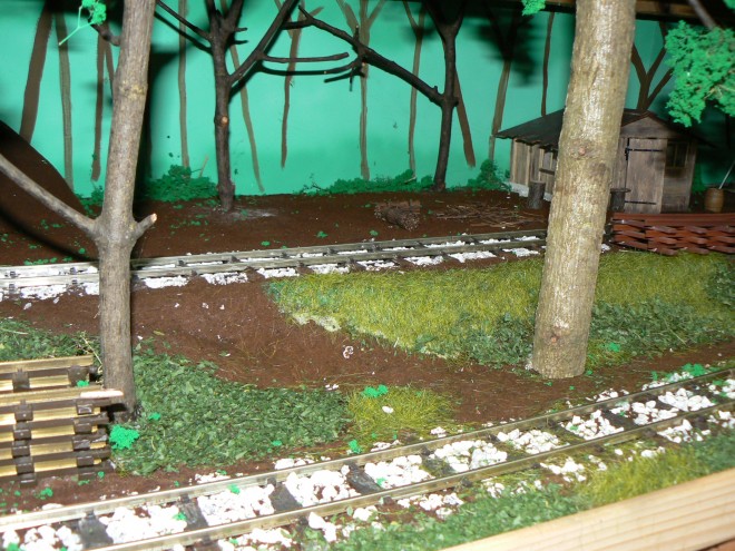 P1170139.JPG
