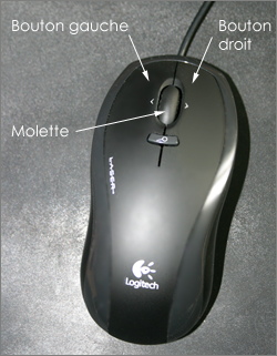 PME Molette..png