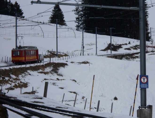 DSCN5270.JPG