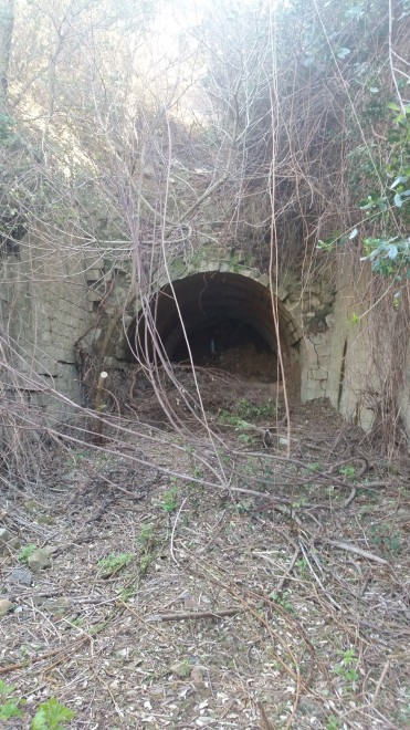 Tunnel Faotea.jpg