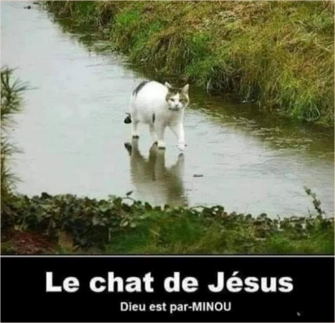 Bienvenue par Minou.jpg