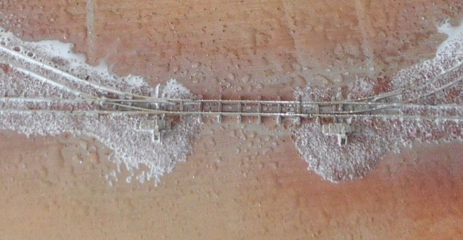 DSCN0434.JPG
