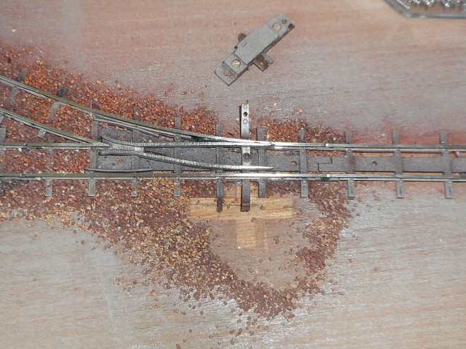 DSCN0446.JPG