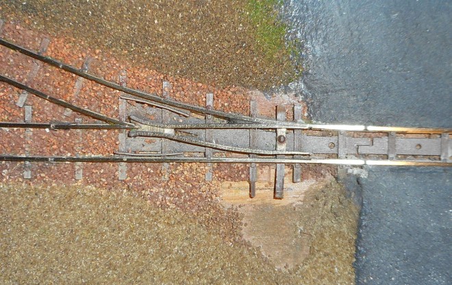 DSCN1155.JPG