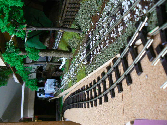P1170437.JPG