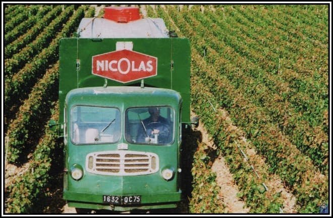 nicolas far cm b vignes.jpg