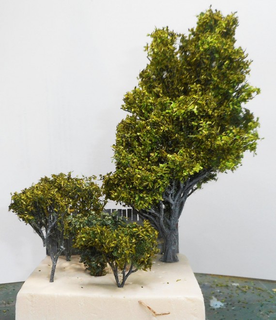 DSCN1584.JPG