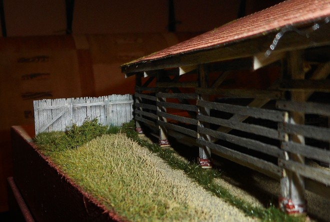 DSCN1571.JPG
