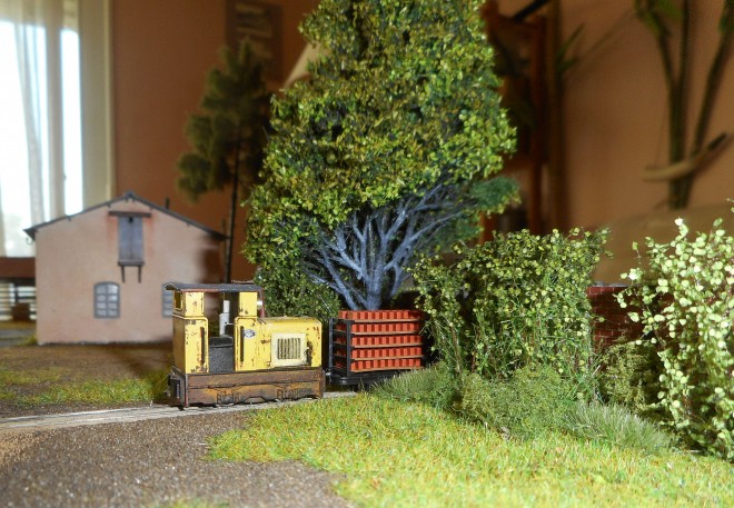 DSCN1593.JPG