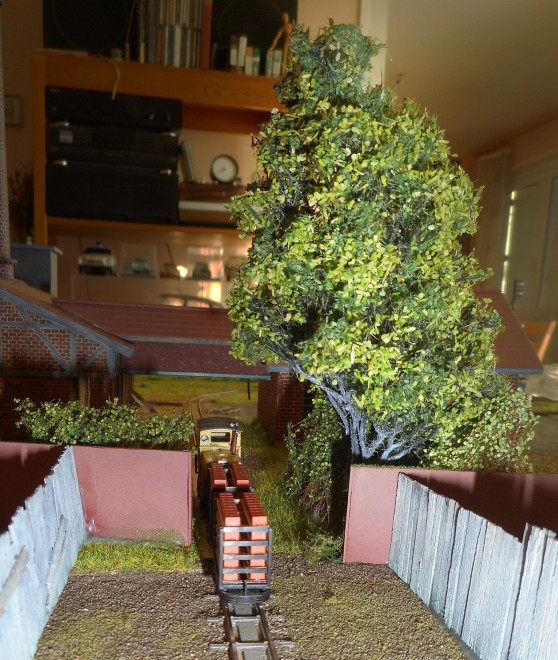 DSCN1588.JPG