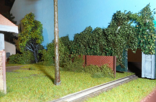 DSCN1636.JPG