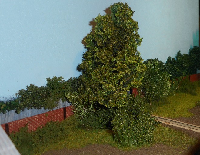DSCN1640.JPG