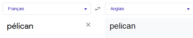 Pelican Traduction..PNG