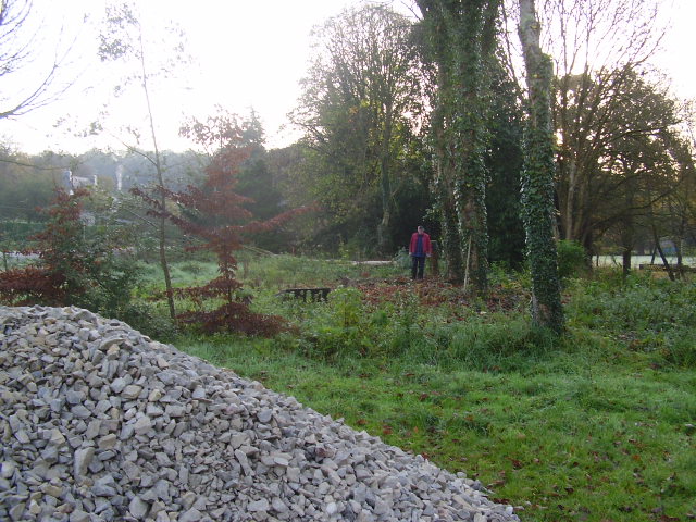 PB260077.JPG