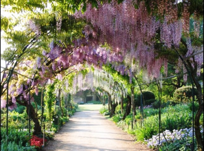 tourisme-parc-floral-d-apremont-1829.jpg